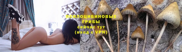 mdpv Алзамай