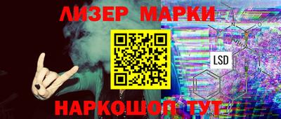 прущие грибы Обнинск