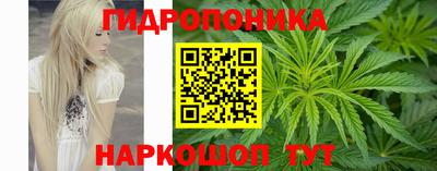 прущие грибы Обнинск