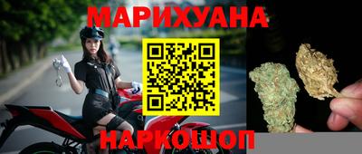 прущие грибы Обнинск