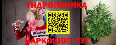 прущие грибы Обнинск
