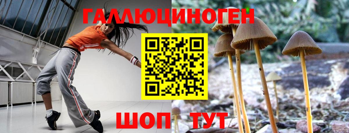 Псилоцибиновые грибы Psilocybe  наркошоп  Сарапул  Галлюциногенные грибы Psilocybe  Вход с VPN 
