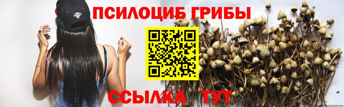 Псилоцибиновые грибы GOLDEN TEACHER Сарапул